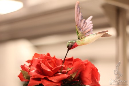05. Sugar Hummingbird